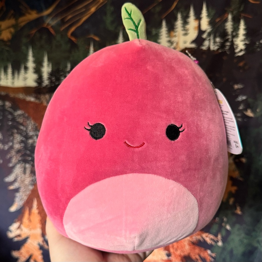 8" Cherry the cherry Squishmallow BNWT